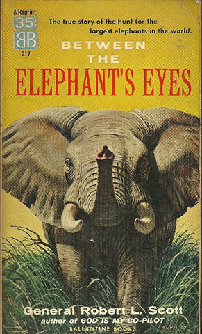 Between the Elephant's Eyes