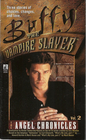 Buffy The Vampire Slayer  Vol 1 The Angel Chronicles
