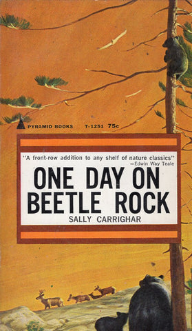 One Day On Beetle Rock