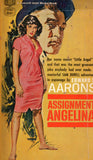 Assignment Angelina