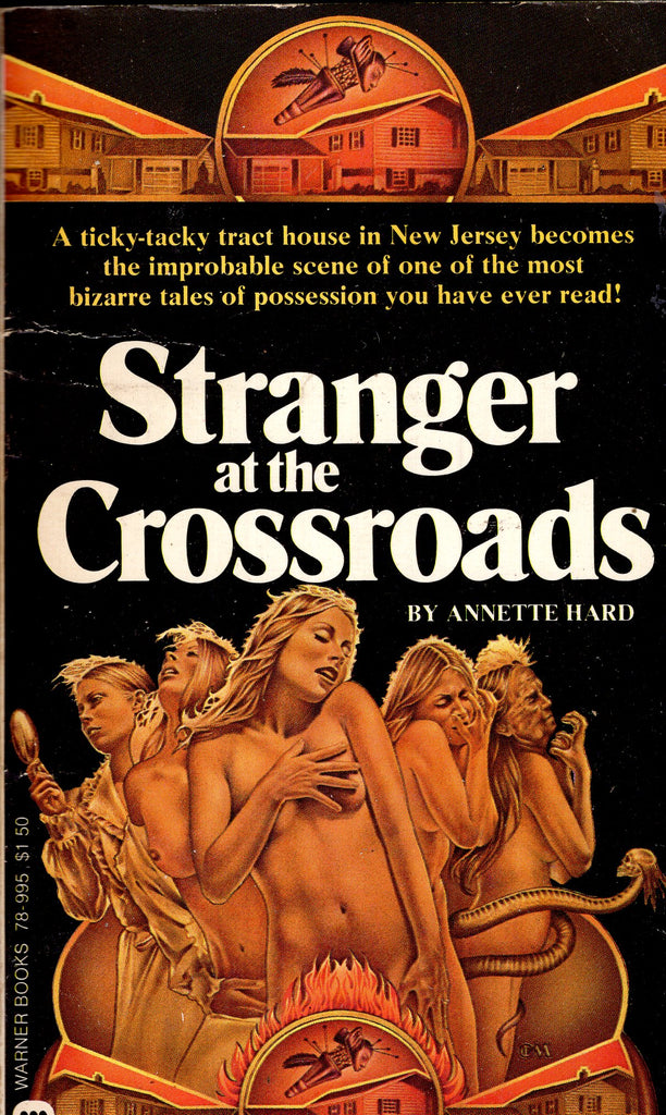 Stranger at the Crossroads