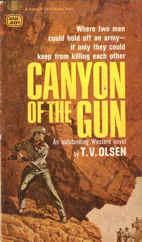 Canyon on the Gun