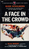A Face in the Crowd
