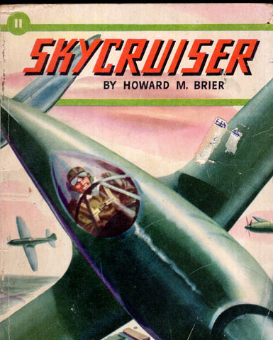 Sky Cruiser