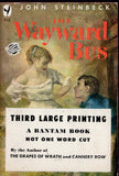 The Wayward Bus