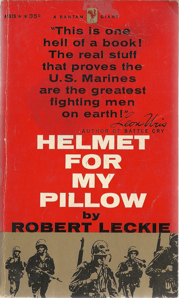 Helmet for my Pillow