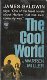 The Cool World
