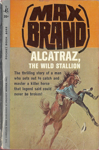 Alcatraz The Wild Stallion