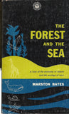 The Forest and the Sea