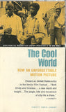 The Cool World