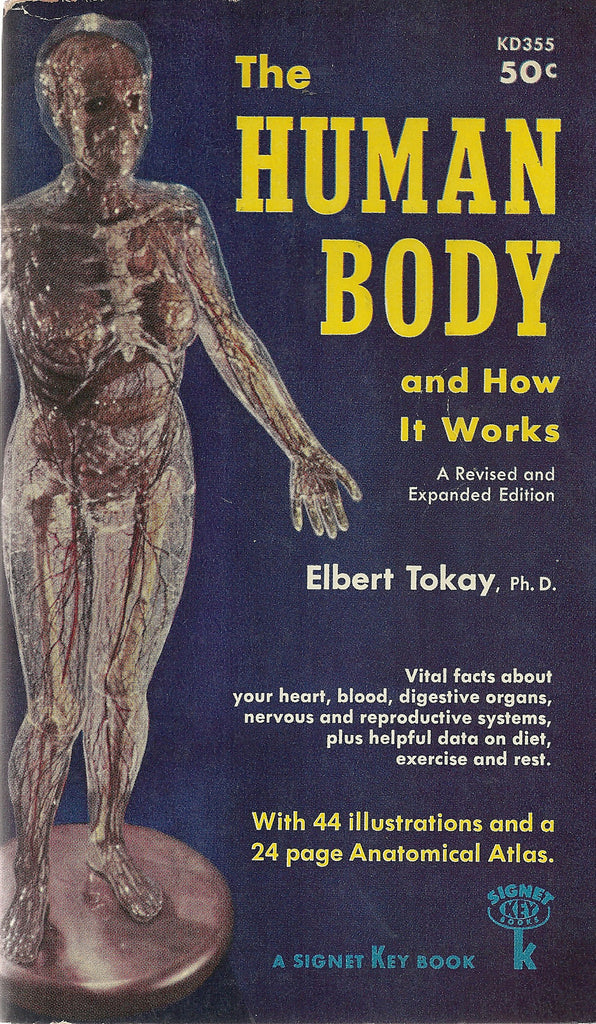 The Human Body and how it works
