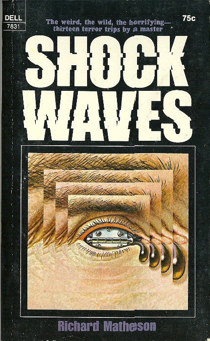 Shock Waves