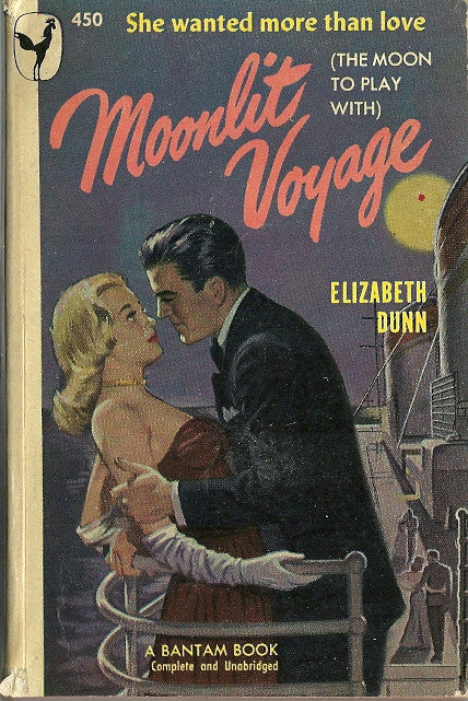 Moonlit Voyage