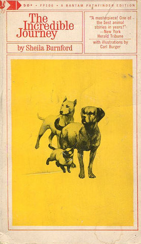 The Incredible Journey