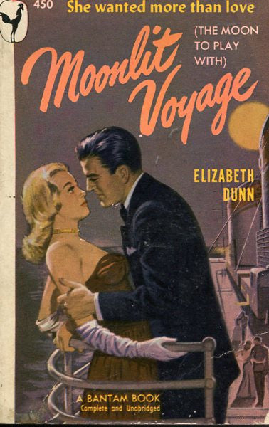 Moonlit Voyage